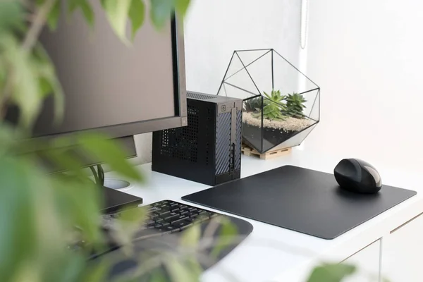 Interior de la oficina moderna. Lugar de trabajo con teclado, ratón y suculentas sobre mesa blanca. Elegante espacio de trabajo minimalista, espacio de trabajo freelancer . —  Fotos de Stock