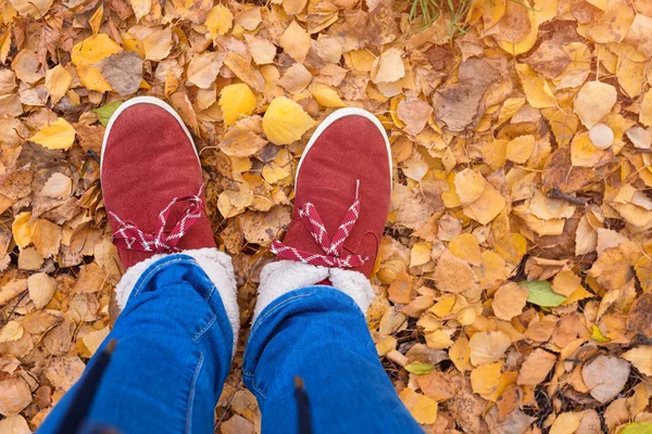 Feet in warm shoes walking on fall leaves in park with autumn season nature on background. Lifestyle fashion trendy style. Autumn season in hipster style shoes — Stock Photo, Image