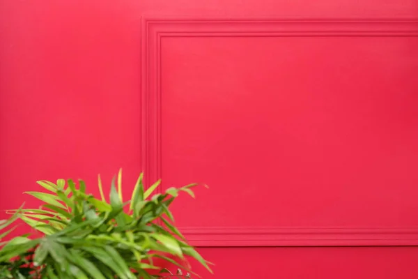 Red wall with frame and green plants. Copy space — Stock Photo, Image