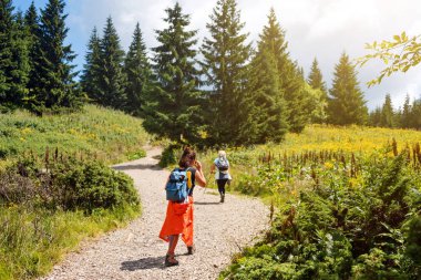 Arkadaşlar birlikte eğleniyor, kadınlar dağlarda yürüyüş yapıyor. Mutlu gezginler, hedef, başarı, özgürlük ve başarı konsepti. Karpat Dağları, Hoverla, Ukrayna.