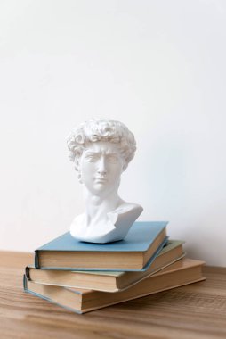 Kitaplıkta David 'in kafasının alçıtaşı heykeli. Michelangelo 'nun David heykeli kitapların üzerinde duruyor. Antik Yunan heykeli, tahta masadaki kahraman heykeli. Eğitim kavramı, metin için boş alan..