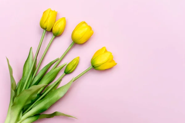 Sárga Tulipán Virágok Csokor Rózsaszín Háttér Lapos Fekvés Csúcskilátás Minimális — Stock Fotó