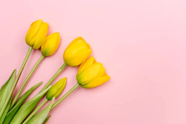 Ramo Flores Tulipán Amarillo Sobre Fondo Rosa Asiento Plano Vista —  Fotos de Stock