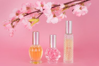 Farklı şeffaf parfüm şişeleri ve pembe arka planda çiçek açan ağaç dalları. Kiraz çiçekli Aromatik esans şişeleri. Parfüm, kozmetik, parfüm koleksiyonu.