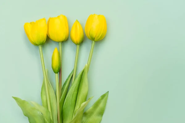 Sárga Tulipán Virágok Csokor Menta Háttér Lapos Fekvés Csúcskilátás Minimális — Stock Fotó