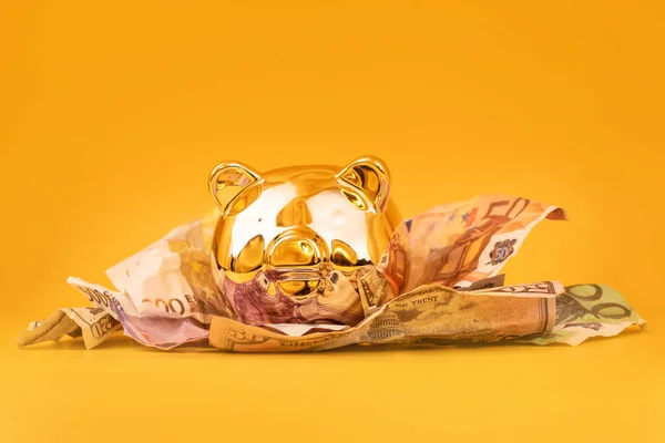 Porquinho Dourado Com Notas Dinheiro Euros Dólares Caixa Dinheiro Dourado — Fotografia de Stock