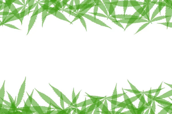 Telaio Formato Foglie Canapa Isolate Fondo Bianco Cannabis Verde Lascia — Foto Stock