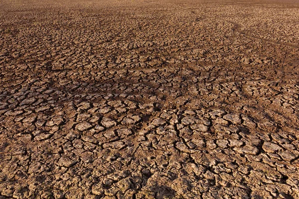 砂漠の中の砕けて乾燥した地球温暖化と地球の概念上の水の不足 干からびた土地だ 荒地と土壌の自然なテクスチャ ロイヤリティフリーのストック写真