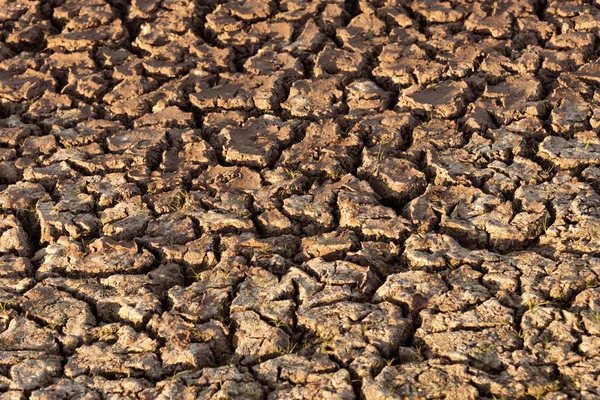 Расколотая Сухая Земля Пустыне Глобальное Потепление Нехватка Воды Планете Засуха Стоковое Фото