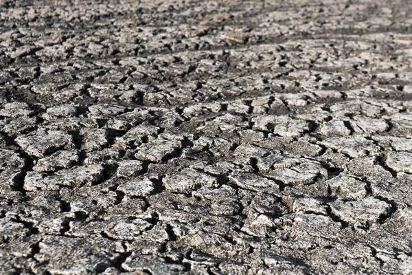 Cracked and dry earth in the desert. Global warming and shortage of water on the planet. Drought, cracked ground. Natural texture of soil with cracks, wasteland, climate changes. Selective focus.