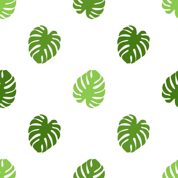 Yaprak monstera dikişsiz desen. Palmiye ağacının tropik yaprakları. El çizilmiş egzotik bitkiler ile güzel allover baskı. Mayo botanik tasarım.