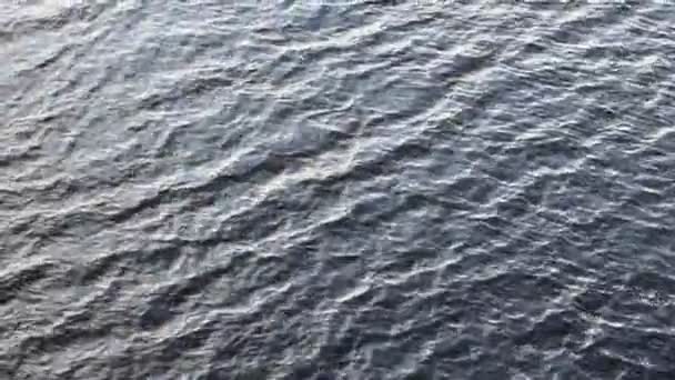 Struttura dell'acqua di mare. Acqua della piscina con riflessi solari. — Video Stock