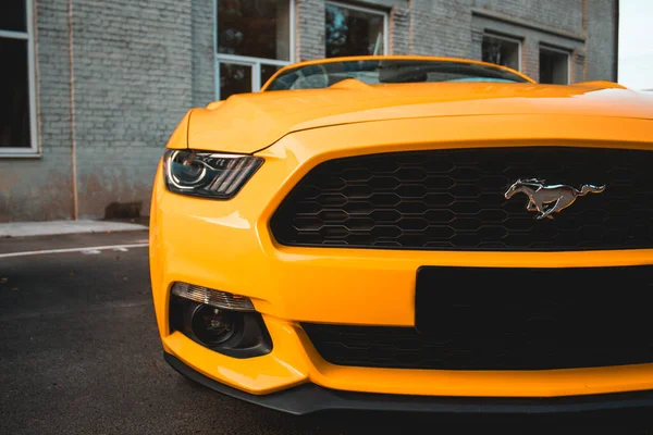 Sarı kaslı araba Ford Mustang kırsalda.
