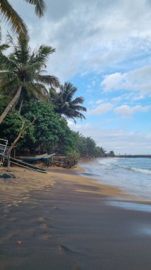 Mavi gökyüzü ve soyut arkaplanı beyaz bulutlar olan tropikal sahildeki palmiye ağacı. Yaz tatili ve iş seyahati konseptini kopyala. Klasik ton filtre efekti renk biçimi.