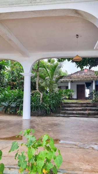 Güneşli mavi gökyüzünün altında yüzme havuzu, palmiye ağaçları ve okyanus manzaralı lüks sahil beldesi rahatlatıcı bir tropikal tatil atmosferi sunuyor..