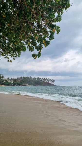 Mavi gökyüzü ve soyut arkaplanı beyaz bulutlar olan tropikal sahildeki palmiye ağacı. Yaz tatili ve iş seyahati konseptini kopyala. Klasik ton filtre efekti renk biçimi.
