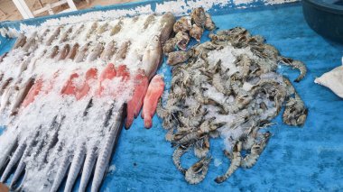 Taze deniz ürünleri vitrininde çeşitli balıklar, karides ve kabuklu deniz ürünleri var. Aşçılar ve deniz ürünleri severler için ideal..