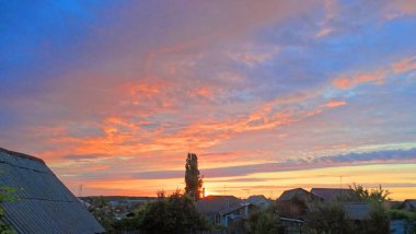 Erken gündoğumu Lonely uzun boylu ağaç gündoğumu bir arka plan üzerinde.