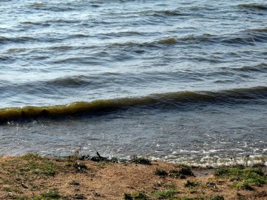 Rüzgâr. Rüzgarlı havada dalgalar. Dalgalar kıyıya vuruyor.