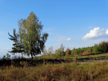 Taş ocağının kıyısında sonbahar manzarası. Ağaçlar arasında çeşitli renkler ve mavi gökyüzüne karşı çalılar..