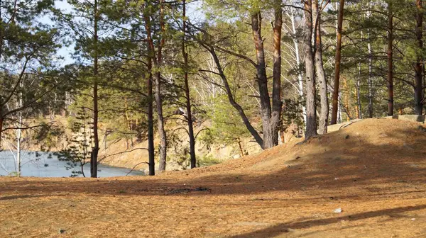 Alberi Verdi Sullo Sfondo Serbatoio Congelato Bellissimo Paesaggio Con Cielo — Foto Stock