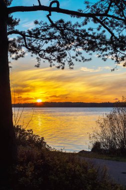 gün batımına karşı gölde ağaçlar