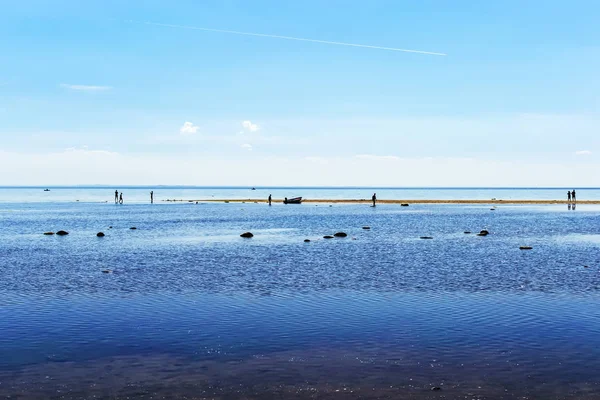 Gente Camina Las Aguas Poco Profundas Bahía Marea Baja Fotos de stock libres de derechos