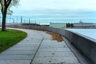 Panoramik manzaralı ve düşmüş sarı yapraklı gezinti güvertesi
