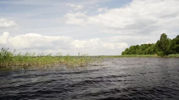 Mouvement Des Vagues Verdure Sur Lac Naturel — Video