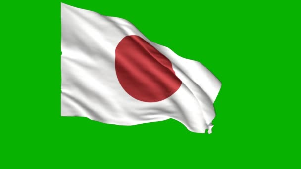 日本国旗动画可以帮助你的项目 高分辨率 逼真的图像 令人印象深刻的设计 简化你的工作 — 图库视频影像