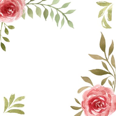 Beyaz arka planda izole gül suluboya romantik kompozisyon.