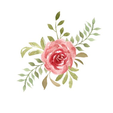 Beyaz arka planda izole gül suluboya romantik kompozisyon. 