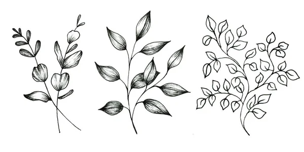 Floral doodle set φύλλων που απομονώνονται σε λευκό φόντο. — Φωτογραφία Αρχείου