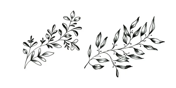 Conjunto de folhas de rabiscos florais isoladas sobre fundo branco . — Fotografia de Stock