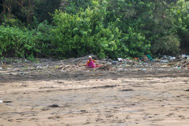 Pune, Maharashtra, Hindistan - 20 Ekim 2017: Harishwar plajında odun toplayan Hintli bir kadın, Raigad, Pune, Maharashtra
