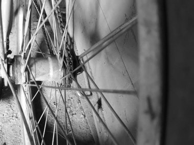 siyah beyaz arka bisiklet tekerleği