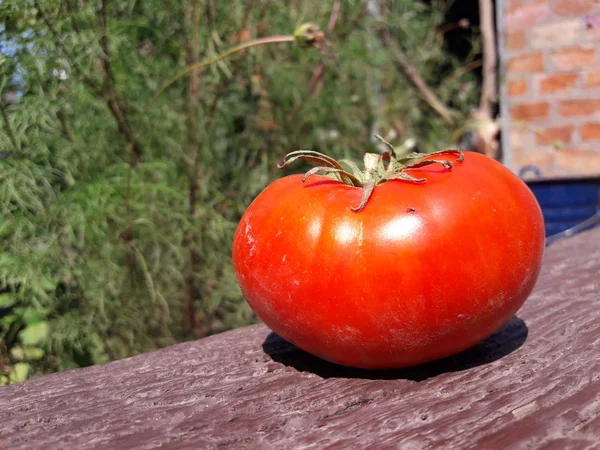 Tomate Mûre Rouge Couchée Sur Une Surface Bois — Photo