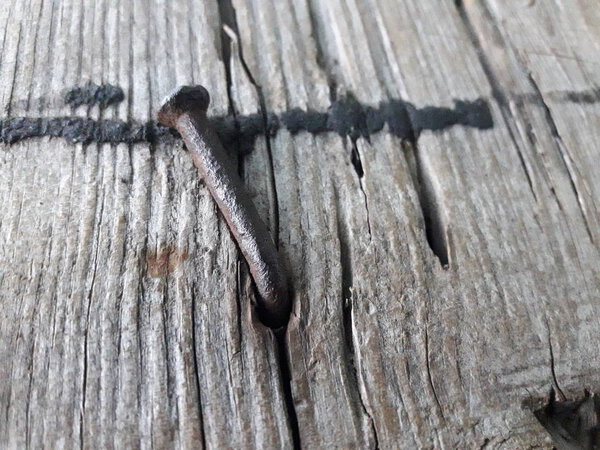 curved iron nail driven into a wooden surface