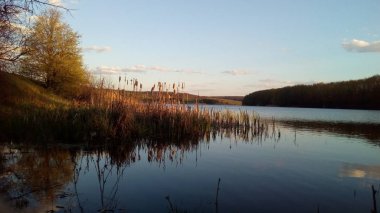 Göldeki ağaçların yansıması