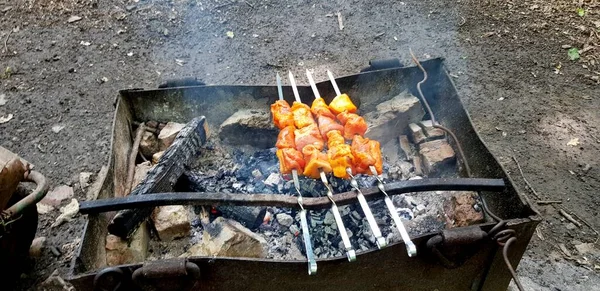 Wir Kochen Auf Dem Grill Appetitliches Foto Vom Grill Auf — Stockfoto