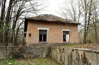 Ormandaki eski bir evin fotoğrafı.