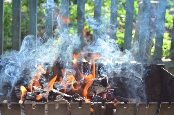 Foto Vom Grillen Garten — Stockfoto