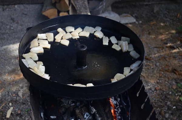 Piquenique Banha Está Frita Num Grelhador Preto Foto Para Uso — Fotografia de Stock