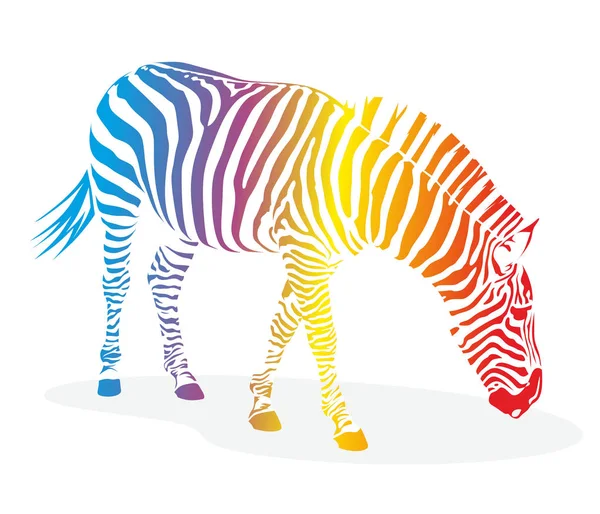 illustration of a zebra with vibrant color stripes