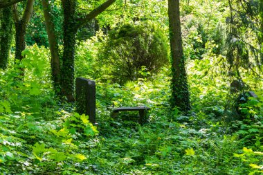 resmi bir mezarlıkta eski bir tezgah