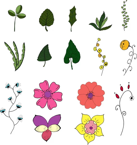 Floral graphic design. Vector set of floral elements with hand-drawn flowers. — Stock Vector