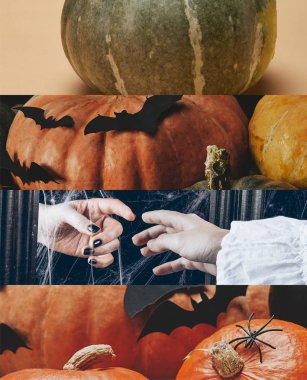 dekoratif yarasalar ve insanların elleri ile geleneksel Halloween kabak kolaj