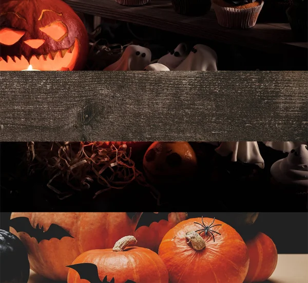 Collage Traditional Halloween Pumpkins Bats Ghosts — Stock Photo, Image