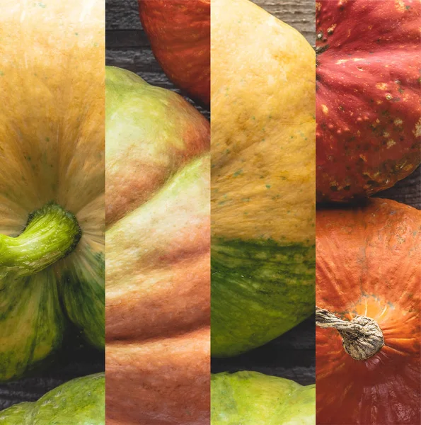 Collage of ripe orange and green natural pumpkin on wooden table — Stock Photo