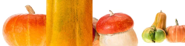 Collage di zucca naturale arancio maturo isolato su bianco — Foto stock